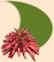 right.jpg (2063 bytes)