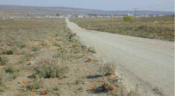 sutherland.vanaf.williston.jpg (115607 bytes)