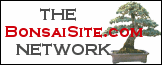 Featured Site on The BonsaiSite.com Network