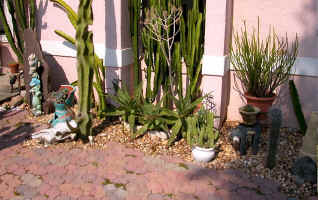 Gia.pots.garden.succulents.jpg (123127 bytes)