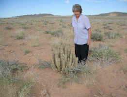 Hoodia.in.habitat_small.jpg (6161 bytes)