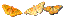 bx butterfly.gif (1262 bytes)