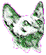 Cornish_Rex_small.gif (7766 bytes)