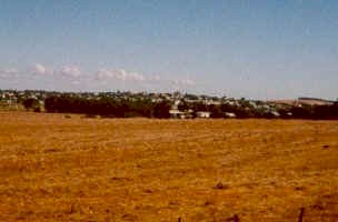Moor.summer.cattery.breeder.cats.kittens_small.jpg (12151 bytes)