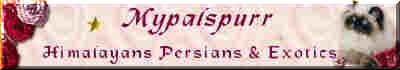 Mybanner.jpg (3813 bytes)