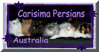 carisima persians.gif (14056 bytes)