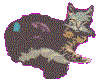 cat.fluffy.gif (8747 bytes)