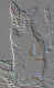 cat1_small.jpg (1187 bytes)