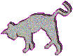 cat.shadow.gif (19427 bytes)