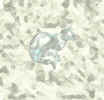 catblotch.jpg (19212 bytes)