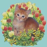 circle_red_cat.jpg (15906 bytes)