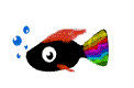fish.gif (9747 bytes)