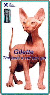 gilette.cat.cartoon.fun.photos.gif (18818 bytes)