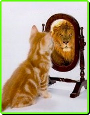 lion.kitten.cartoon.cats.breeders.jpg (15560 bytes)