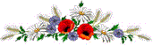 miracle.life.death.kittens.cat.breeding.breeder.gif (3750 bytes)