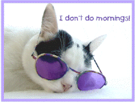 mornings.cat.cartoon_small.gif (16266 bytes)