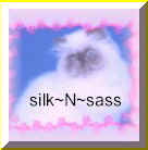 slikNsass.jpg (6161 bytes)