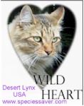 wildheartbanner.jpg (5606 bytes)