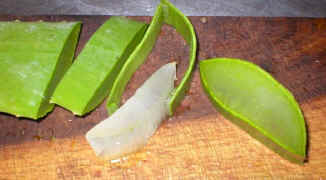 aloe vera gel sliced (8602 bytes)