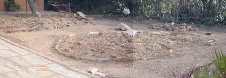 backdoor.dead.lawn.into.aloe.garden11.jpg (38545 bytes)