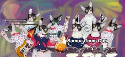 coolcats.brothers.band.jpg (34737 bytes)