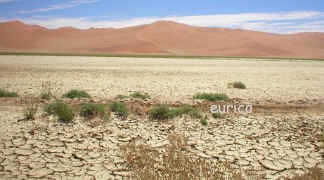 dry.mud.jpg (151252 bytes)