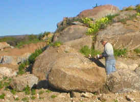 Rudi for size next to boulder (55398 bytes)