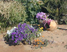 gruenau.blommetjies_small.jpg (13623 bytes)