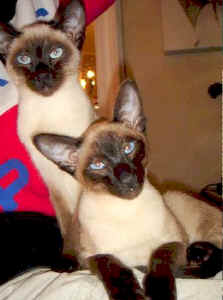 mr_and_mrs_small.jpg (8684 bytes)