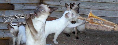 music.mom.kittens.jpg (27670 bytes)