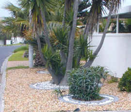 neighbours.with.and.without.lawn1.jpg (103837 bytes)