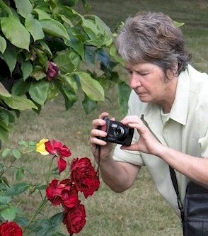 concentration.jpg (39945 bytes)