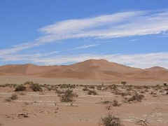 sossusvlei.dunes.jpg (18754 bytes)