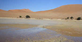 sossusvlei.water.dunes.jpg (21594 bytes)
