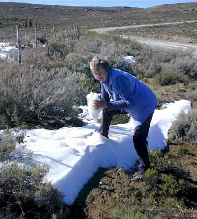 sutherland.eurica.snow.07.jpg (114032 bytes)