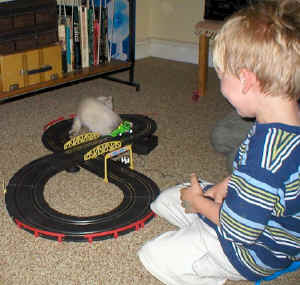 xmas.toys.1.jpg (82933 bytes)