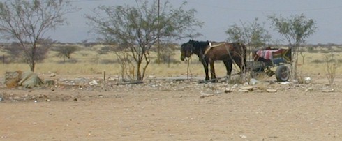 horse.cart.jpg (30742 bytes)